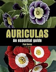 Auriculas essential guide for sale  Delivered anywhere in UK