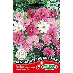 Germisem graines cosmos d'occasion  Livré partout en Belgiqu