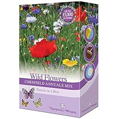Wildflower annual cornfield for sale  Delivered anywhere in UK