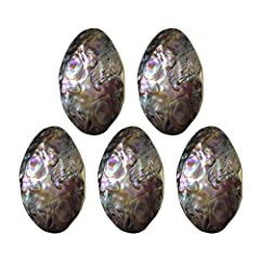 Besportble 5pcs abalone for sale  Delivered anywhere in Canada