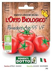 Sdd o.bio pomodoro usato  Spedito ovunque in Italia 