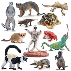 Toymany stück madagaskar gebraucht kaufen  Wird an jeden Ort in Deutschland