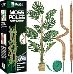 Pack bendable moss for sale  Delivered anywhere in USA 