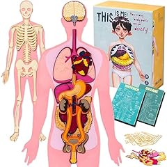 Anatomie skelett anatomie gebraucht kaufen  Wird an jeden Ort in Deutschland