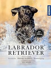 Labrador retriever geschichte gebraucht kaufen  Wird an jeden Ort in Deutschland