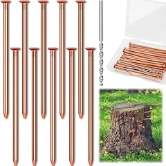 Unifamily 10pcs copper for sale  Delivered anywhere in USA 
