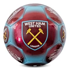 Pro pallone calcio usato  Spedito ovunque in Italia 