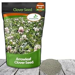 Outsidepride annual arrowleaf for sale  Delivered anywhere in USA 