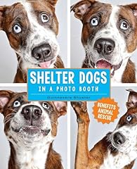 Shelter dogs photo for sale  Delivered anywhere in USA 
