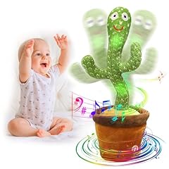 Seosto cactus ballerino usato  Spedito ovunque in Italia 
