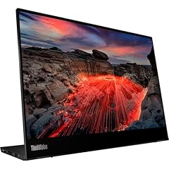 Lenovo thinkvision m14t usato  Spedito ovunque in Italia 