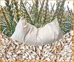 Bio dinkelkissen inlett gebraucht kaufen  Wird an jeden Ort in Deutschland