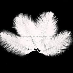 10pcs ostrich feathers for sale  Delivered anywhere in UK