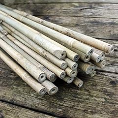 Bambusstäbe bambusstangen 182 gebraucht kaufen  Wird an jeden Ort in Deutschland