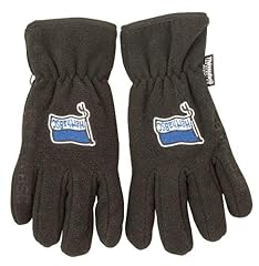 Thinsulate handschuhe fahne gebraucht kaufen  Wird an jeden Ort in Deutschland