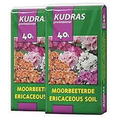 Kudras moorbeeterde rhododendr gebraucht kaufen  Wird an jeden Ort in Deutschland
