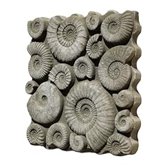 Stone fossils wall for sale  Delivered anywhere in UK