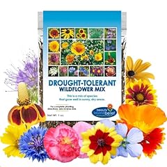 Drought resistant wildflower for sale  Delivered anywhere in USA 