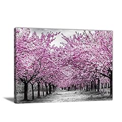 Cherry blossom tree for sale  Delivered anywhere in USA 