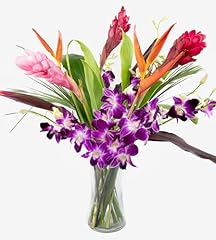 Fresh orchids tropical for sale  Delivered anywhere in USA 