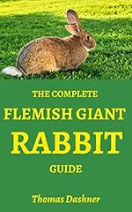 Complete flemish giant for sale  Delivered anywhere in USA 