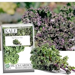 Red russian kale for sale  Delivered anywhere in USA 