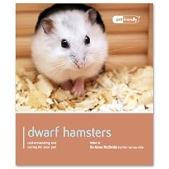 Dwarf hamsters. d'occasion  Livré partout en Belgiqu