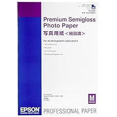 Epson c13s042093 premium usato  Spedito ovunque in Italia 