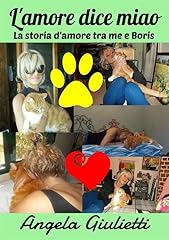 Amore dice miao for sale  Delivered anywhere in USA 