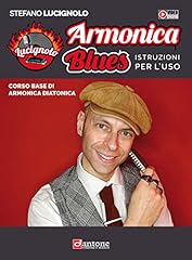 Armonica blues. istruzioni usato  Spedito ovunque in Italia 
