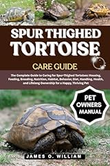 Spur thighed tortoise for sale  Delivered anywhere in UK
