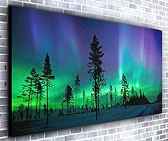 Aurora borealis panoramic for sale  Delivered anywhere in UK