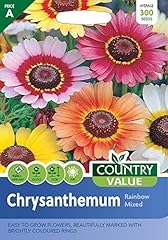 Chrysanthemum seeds rainbow for sale  Delivered anywhere in UK