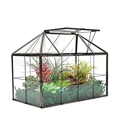 Large Tabletop Greenhouse House Shape Glass Terrarium for sale  Delivered anywhere in USA 