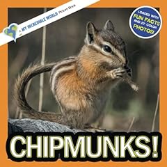 Chipmunks incredible picture for sale  Delivered anywhere in UK
