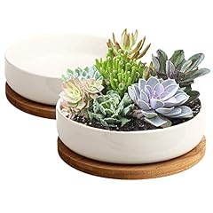 Zoutog succulent pots for sale  Delivered anywhere in USA 