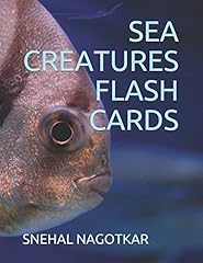 Sea creatures flash usato  Spedito ovunque in Italia 