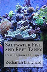 Saltwater fish and d'occasion  Livré partout en Belgiqu
