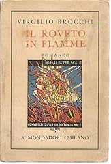 Roveto fiamme. ansia usato  Spedito ovunque in Italia 