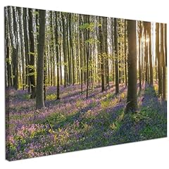 Chditb nature forest for sale  Delivered anywhere in UK