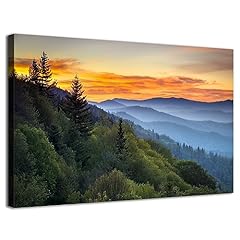 Great smoky mountain for sale  Delivered anywhere in USA 