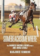 Somebeachsomewhere harness rac for sale  Delivered anywhere in UK