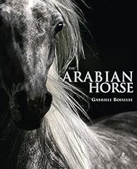 Arabian horse for sale  Delivered anywhere in UK