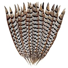 Feelfunfeather 5pcs pheasant for sale  Delivered anywhere in USA 