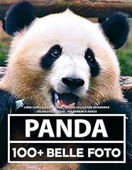 Libro fotografico panda usato  Spedito ovunque in Italia 