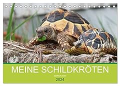 Schildkröten calvendo monatsk gebraucht kaufen  Wird an jeden Ort in Deutschland