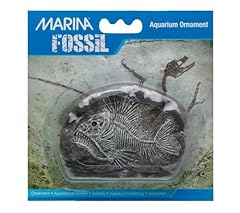 Marina fossil tiger for sale  Delivered anywhere in Ireland