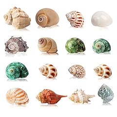 Skoolove 16pcs hermit for sale  Delivered anywhere in UK