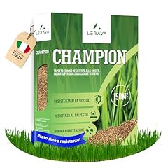 Lerava champion semi usato  Spedito ovunque in Italia 