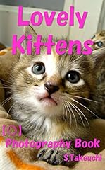 Lovely kittens photography for sale  Delivered anywhere in UK